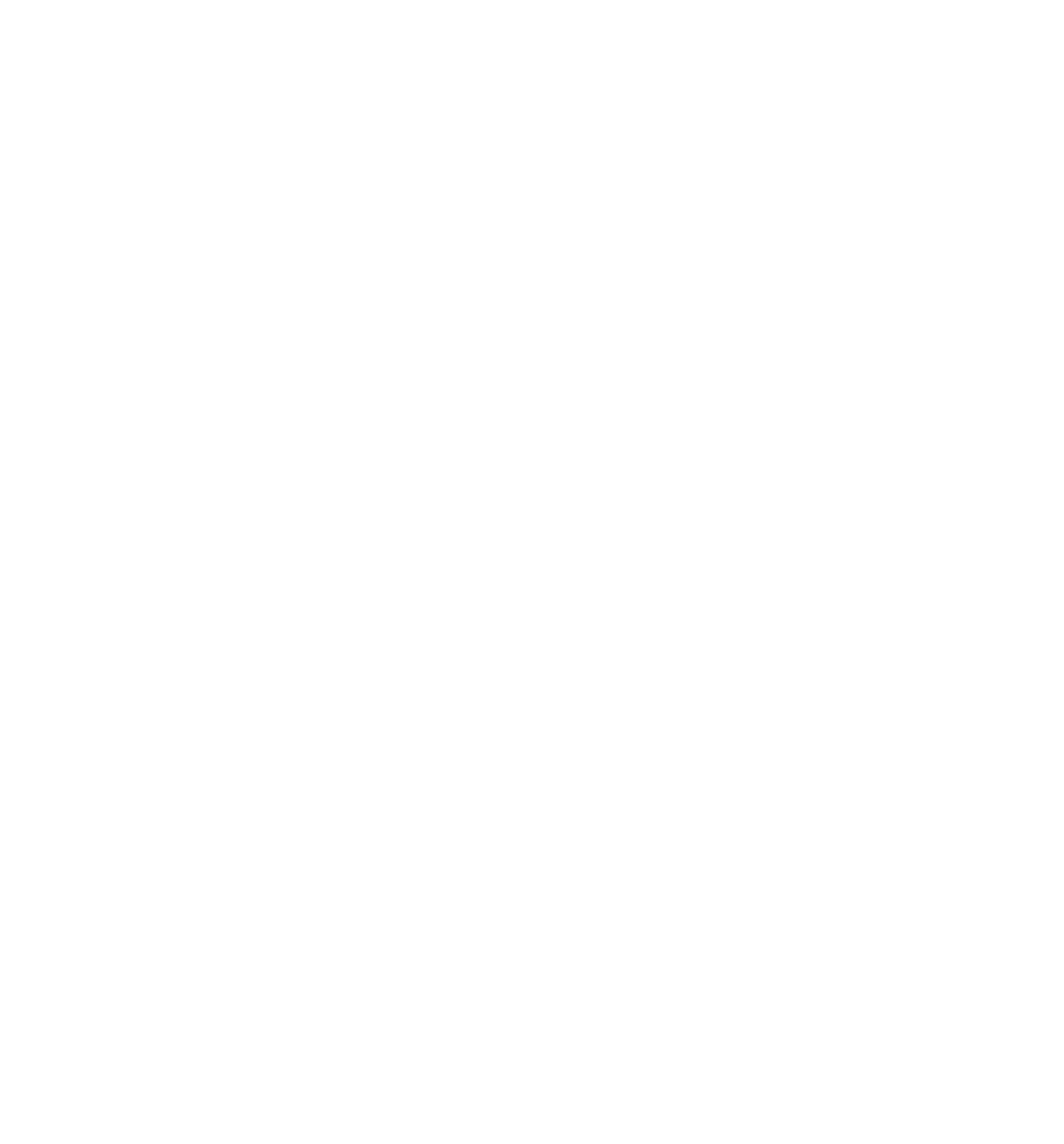 blurizon • Evroc Logo blanc
